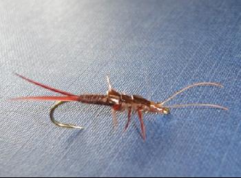 Montage de mouche