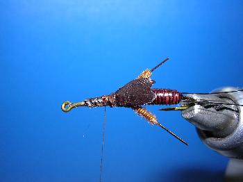 Montage de mouche