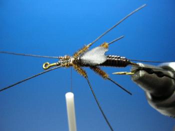 Montage de mouche