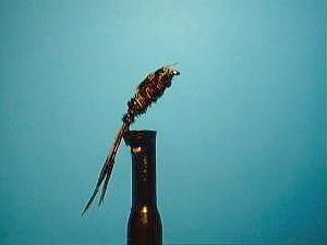 Montage de mouche