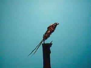 Montage de mouche