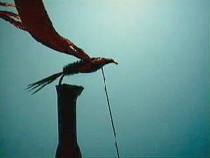 Montage de mouche