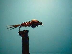 Fiche de montage : Lestage des nymphes<br> Pheasant tail