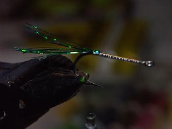 Montage de mouche
