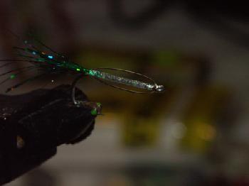 Montage de mouche