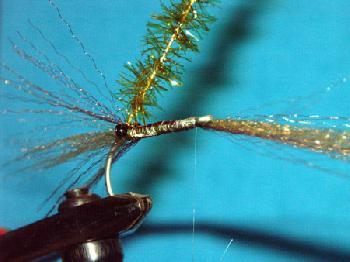 Montage de mouche