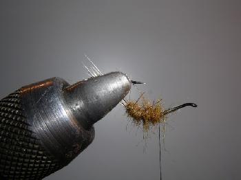 Montage de mouche