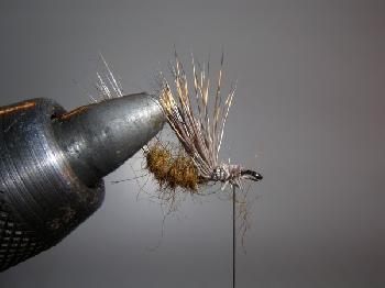 Montage de mouche