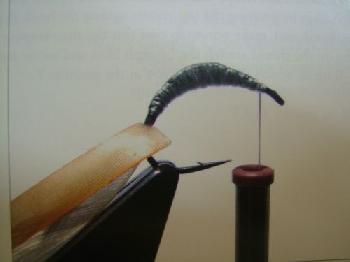 Montage de mouche