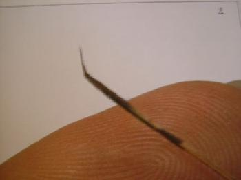 Montage de mouche