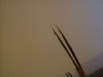 Montage de mouche
