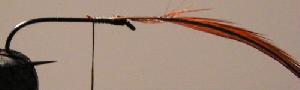 Montage de mouche