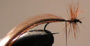 Montage de mouche