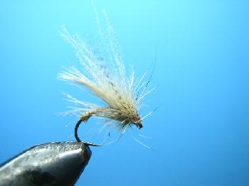 Fiche de montage : sedge emergent