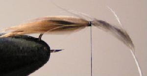 Montage de mouche