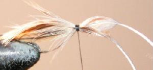 Montage de mouche