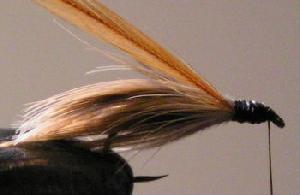 Montage de mouche