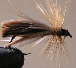 Fiche de montage : Sedge roux