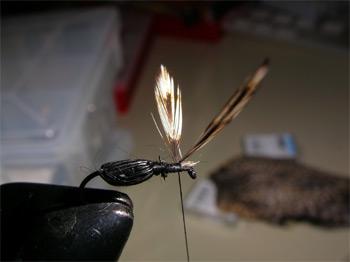 Montage de mouche