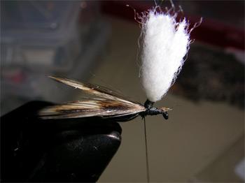 Montage de mouche