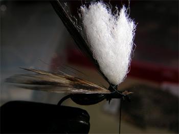 Montage de mouche