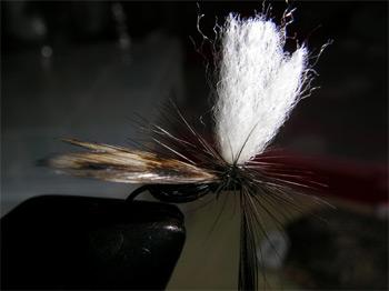 Montage de mouche
