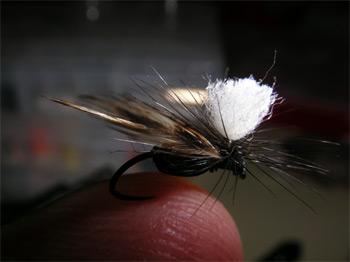 Fiche de montage : Fourmi cervidé parachute