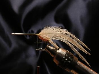 Montage de mouche