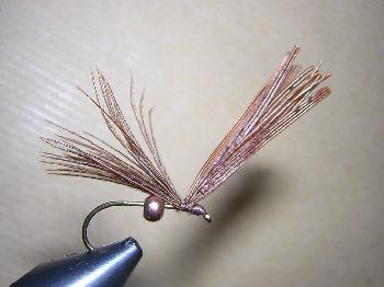 Montage de mouche