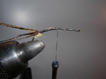 Montage de mouche