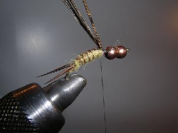 Montage de mouche