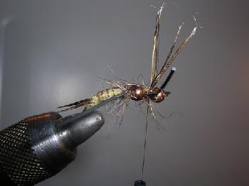 Montage de mouche