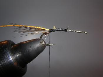 Montage de mouche