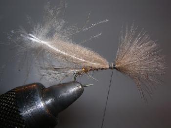 Montage de mouche