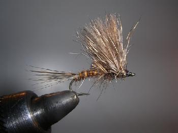Fiche de montage : Ma March Brown
