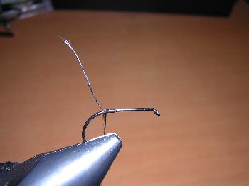 Montage de mouche