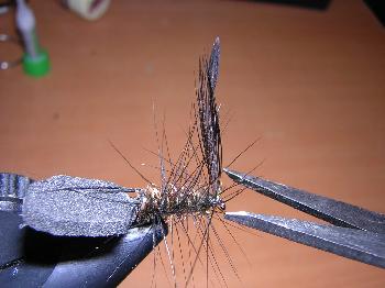Montage de mouche