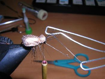Montage de mouche