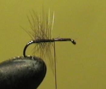 Montage de mouche