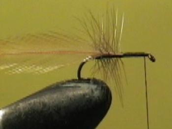 Montage de mouche