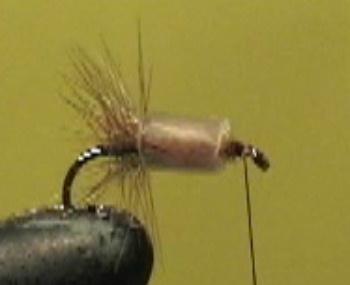 Montage de mouche