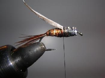 Montage de mouche