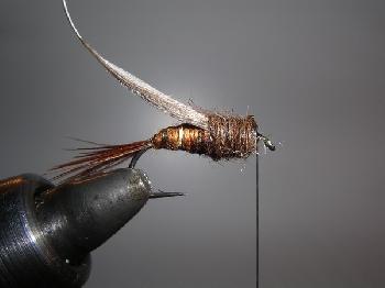 Montage de mouche