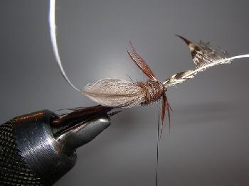 Montage de mouche