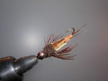 Montage de mouche