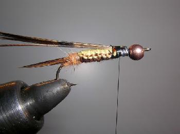 Montage de mouche