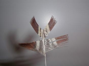 Montage de mouche