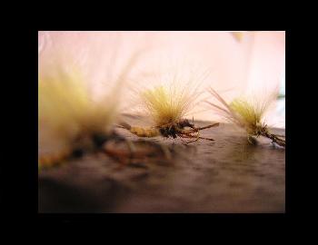Montage de mouche