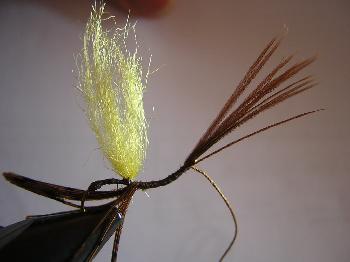 Montage de mouche