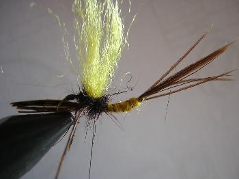 Montage de mouche
